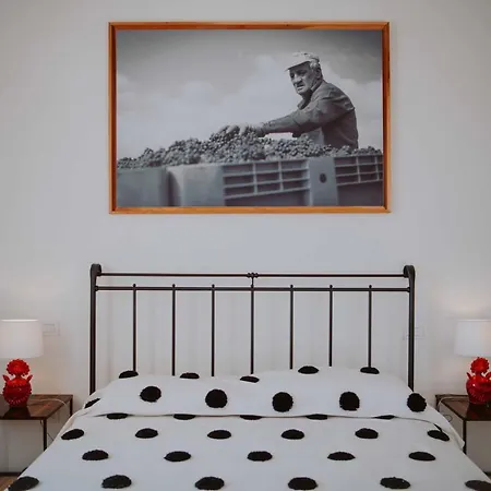Tenuta Pianirossi Vakantieboerderij Cinigiano