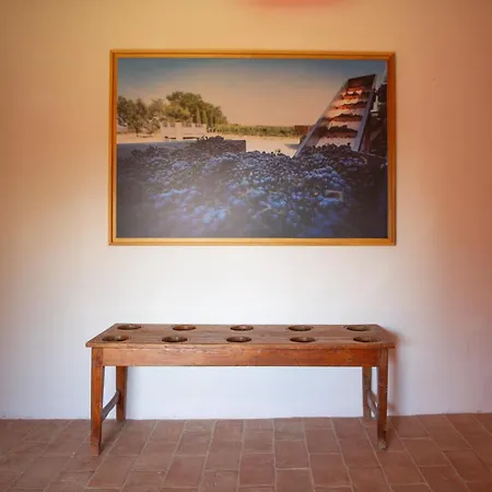 Farma Tenuta Pianirossi *